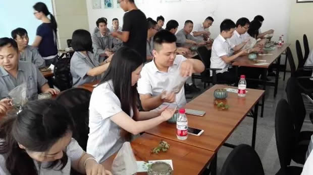 �Aͤ悈Fί���Ϻ������y�T�S�_չ΢���^�GֲDIY��ӣ��D7��