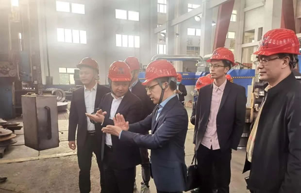 浙江省永嘉縣政府考察團蒞臨我司考察指導工作(圖3)